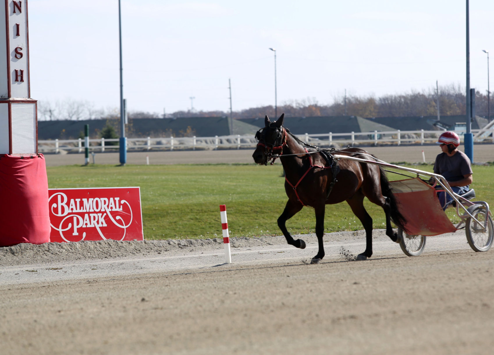 Historic Balmoral Park goes dark next year